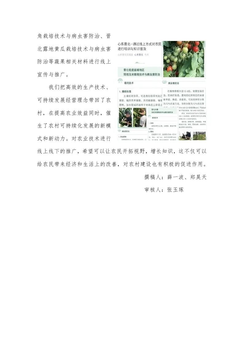 德信体育官方网站